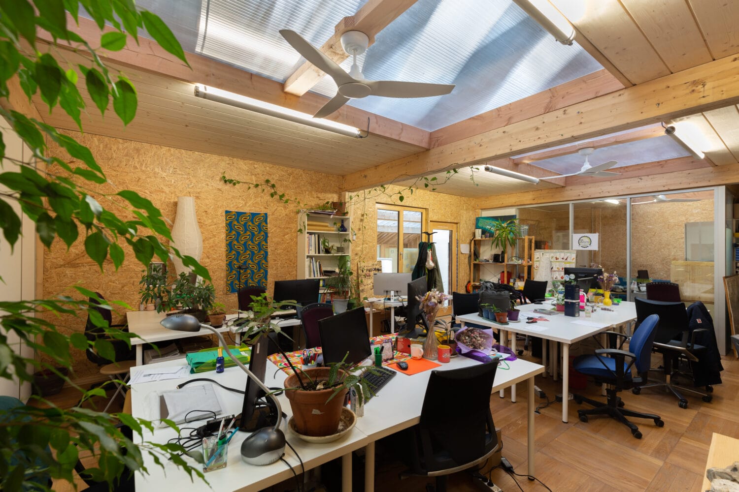 bureaux en bois et lumière naturelle à la Balise sur l'Ile-Saint-Denis - crédit Victoria Tanto