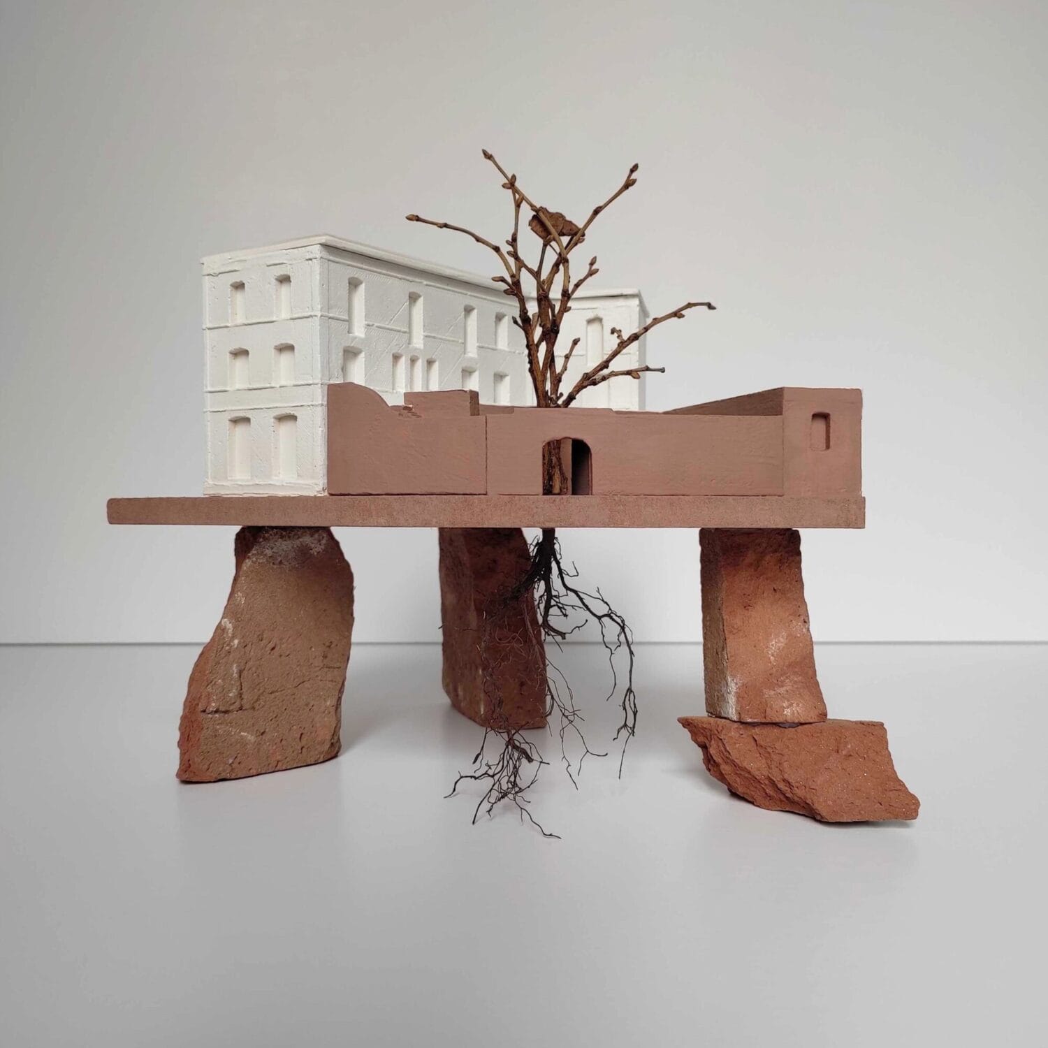 maquette de Génération Pasteur à Albi - crédit Atelier Arpent