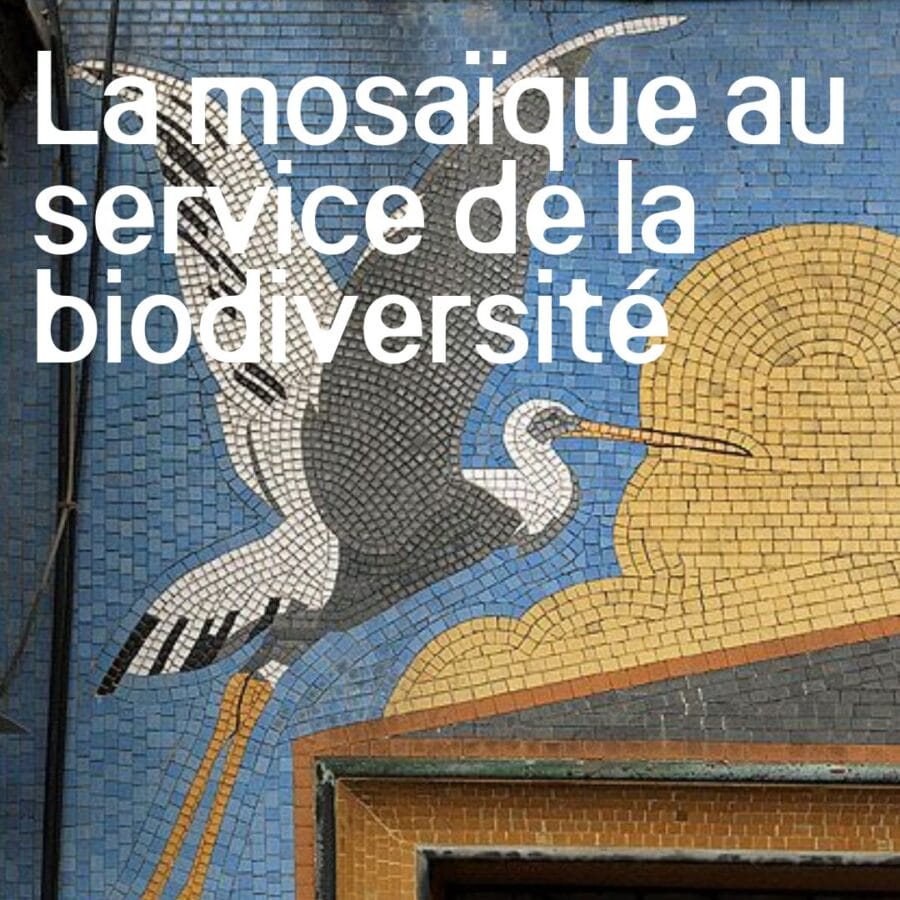 la mosaïque au service de la biodiversité à Verdun