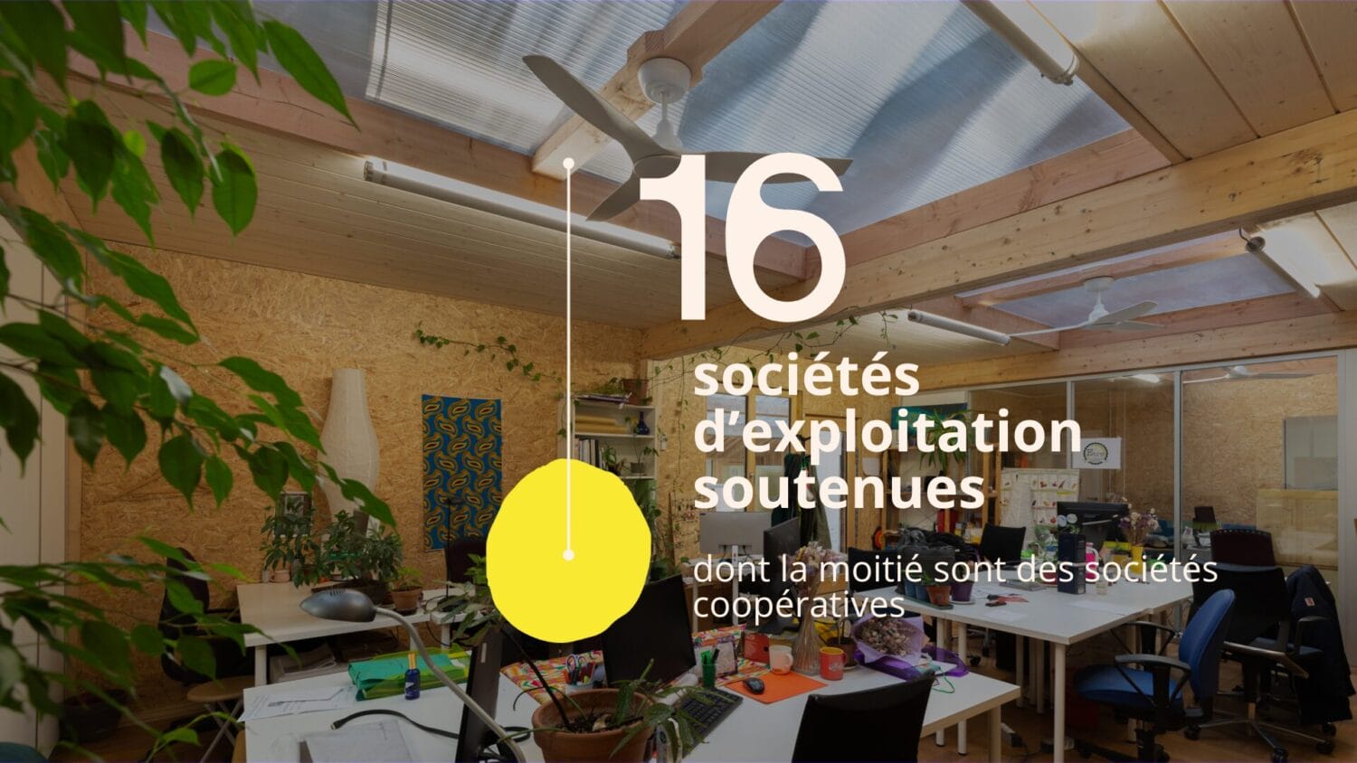 chiffre clé : 16 sociétés d'exploitation soutenues dont la moitié sont des coopératives