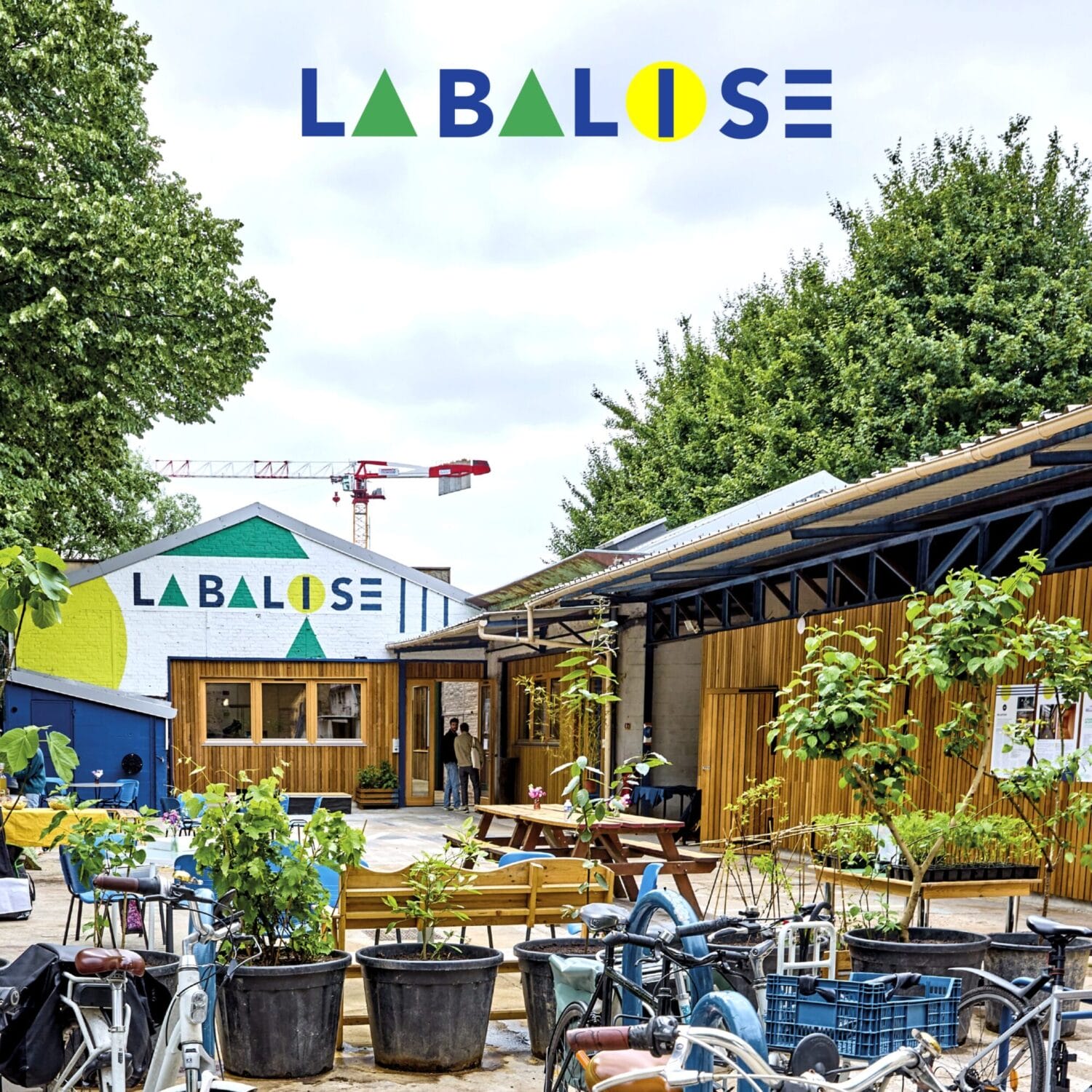 La Balise Bruno Levy